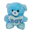 Plush Teddy Bear BOY in 4 Sizes