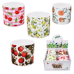 Ceramic Planter in 4 Designs – 12.5x11.5cm – Pack of 4