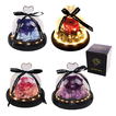 Illuminated Glass Dome with Forever Rose 14×12cm