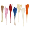 Dried Pampas Reed 70cm Set of 10 – 7 Colors