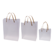 Translucent Plastic Gift Bag with Handles – 3 Sizes