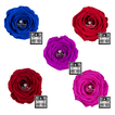 Forever Τριαντάφυλλα RoseAmor Διάμετρος:8.5cm Bellisima|Σε Διάφορα Χρώματα
