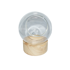 Glass Dome with Wooden Base in 2 Sizes