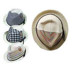 Hat in 4 Colors