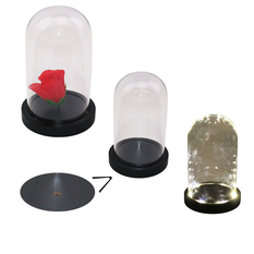 Glass Dome with Wooden Base & LED, in 3 Sizes