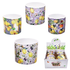Ceramic Planter in 4 Designs – 12.5x11.5cm – Pack of 4