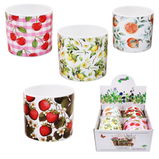 Ceramic Planter in 4 Designs – 12.5x11.5cm – Pack of 4