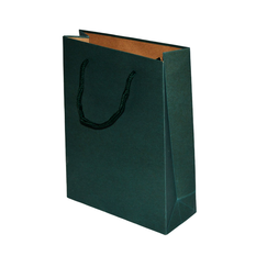 Plain Kraft Paper Gift Bag with Rope Handle
