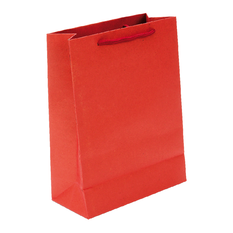 Plain Kraft Paper Gift Bag with Rope Handle