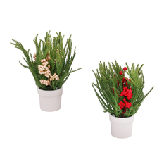 Christmas Arrangement in Pot 26cm