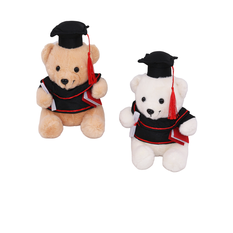 Graduation Plush Teddy Bear 22cm