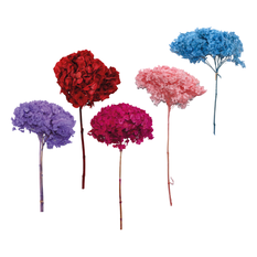 Preserved Hydrangea 25cm – 5 Colors
