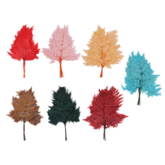 Preserved Fern 40cm Set 10– 7 Colors