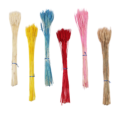 Dried Wheat Stems 60cm Set of 50 – 6 Colors