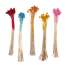 Dried Craspedia Golden Ball 60cm Set of 30 – 5 Colors