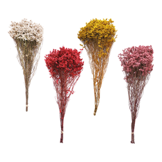 Dried Crystal Grass 68cm 120g – 4 Colors