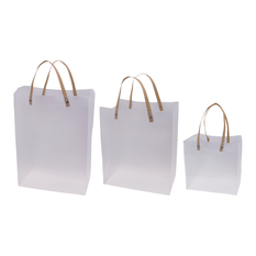 Translucent Plastic Gift Bag with Handles – 3 Sizes