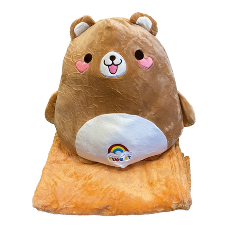Plush Bear Pillow with Blanket 45 cm