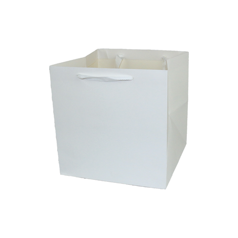 White Packaging Bag 25x25x25cm