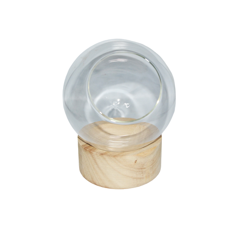 Glass Dome with Wooden Base in 2 Sizes