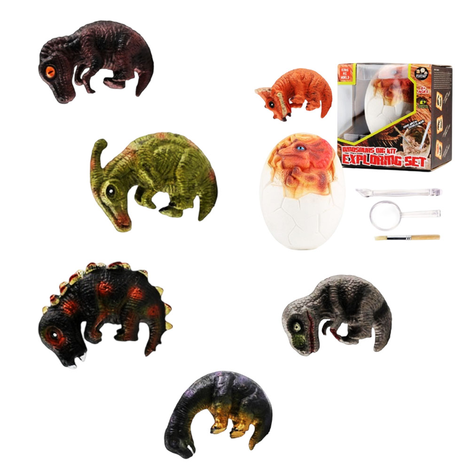 Dinosaur Exploration Set with Plaster Egg & Surprise Toy