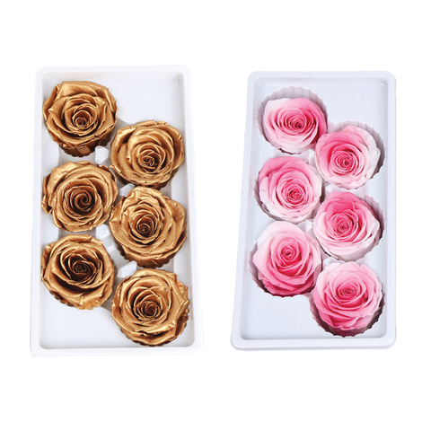 Preserved Forever Roses in 13 Colors