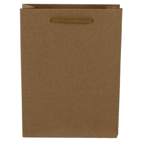 Kraft Paper Gift Bag with Rope Handle 6 Sizes