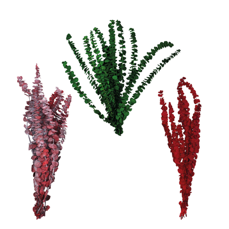 Preserved Eucalyptus 60cm Set 10– 3 Colors