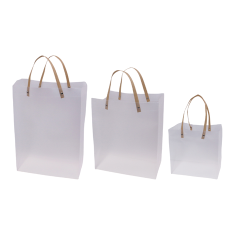 Translucent Plastic Gift Bag with Handles – 3 Sizes