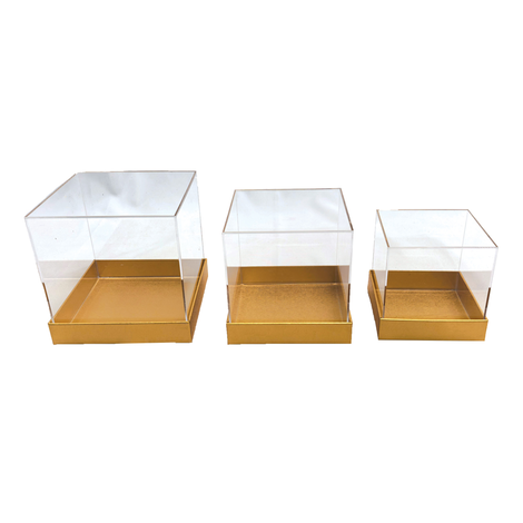Set of 3 Plexiglass Boxes with Gold Bases