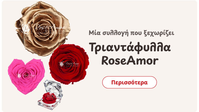 RoseAmor