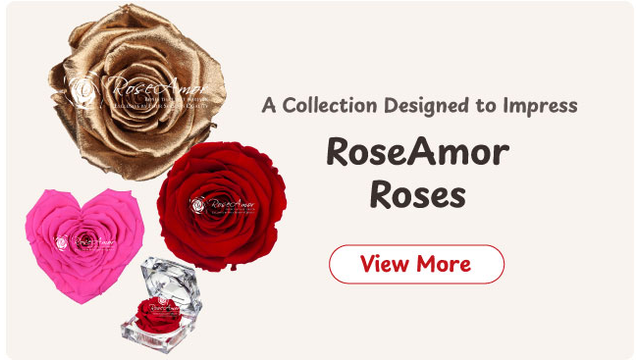 RoseAmor