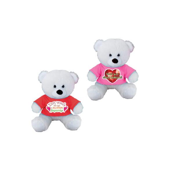 Teddy Bear