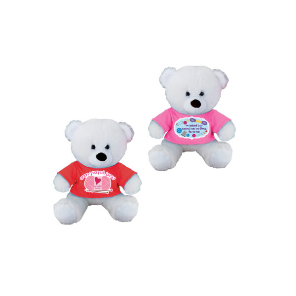 Teddy Bear