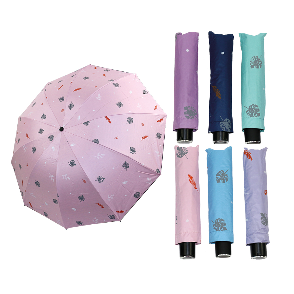 Umbrella